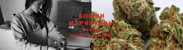 крисы Вяземский