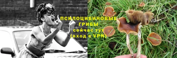 кокаин колумбия Горнозаводск