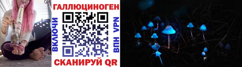 Галлюциногенные грибы Psilocybe Обнинск